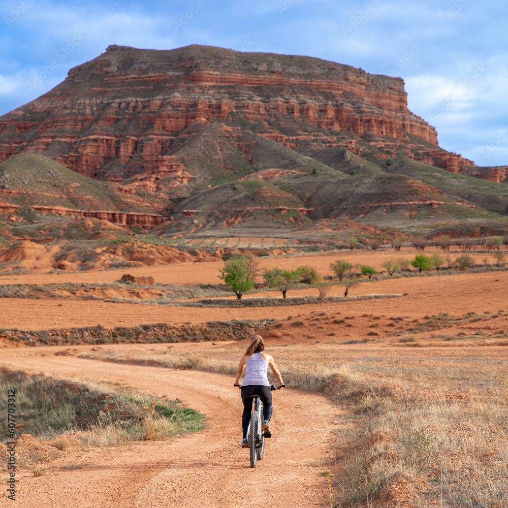 Woman riding on mountain bike in nature - obrazy, fototapety, plakaty 