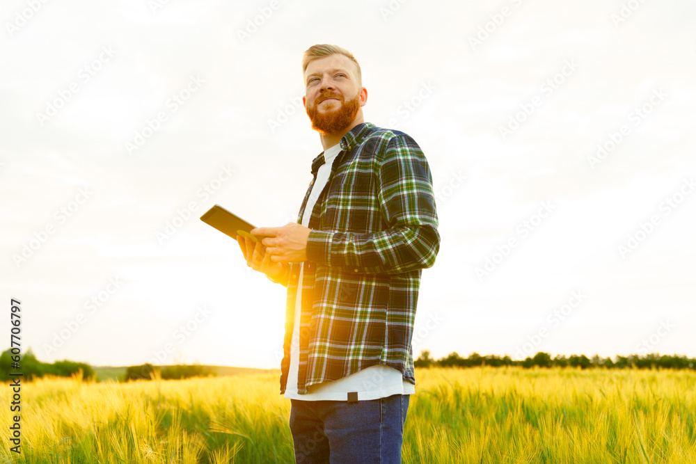 Portrait of a happy farmer. A man with a beard in a shirt and jeans with a tablet. Wheat harvest, eco products Portrait of a happy farmer. A man with a beard in a shirt and jeans with a tablet. Wheat harvest, eco products