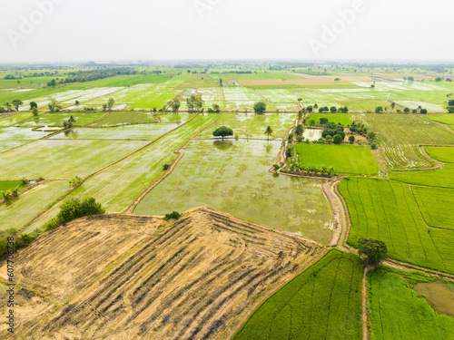 Aerial view of farmland with irrigated rice fields, Nakhon Luang, province of Ayutthaya, Thailand. photo