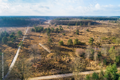 Aerial view of open area with trees and walking paths in forestry Hardenberg, Rheeze, Vechtdal, Overijssel, Netherlands. photo