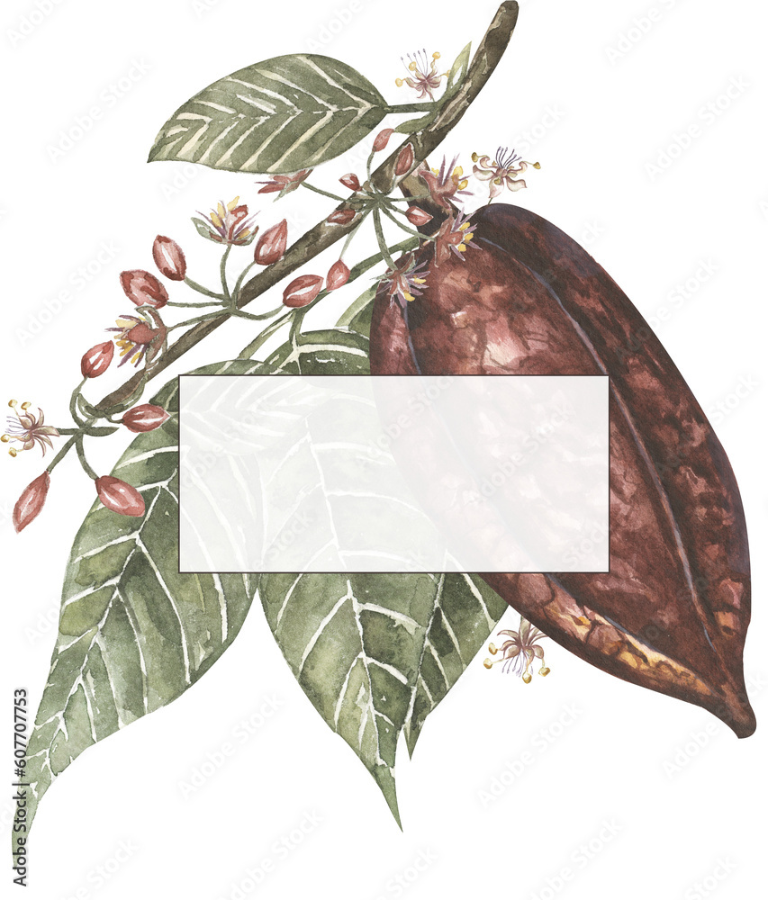 custom made wallpaper toronto digitalWatercolor hand drawn vintage style cacao branch and golden liner frame illustration, floral wreath, cocoa leaves and pod border clipart
