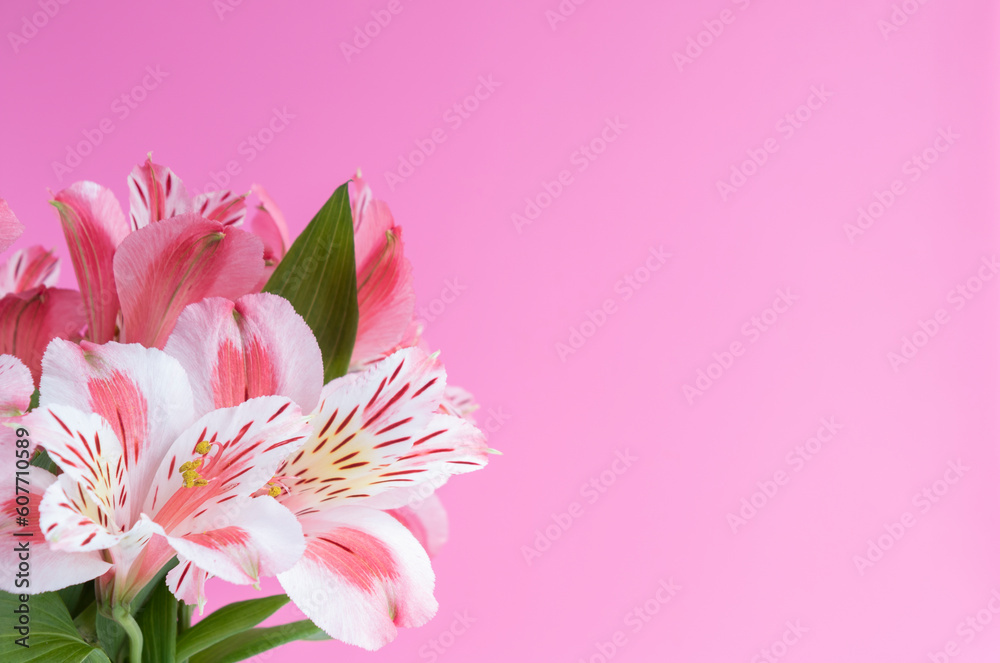 pink flowers card on pink background
