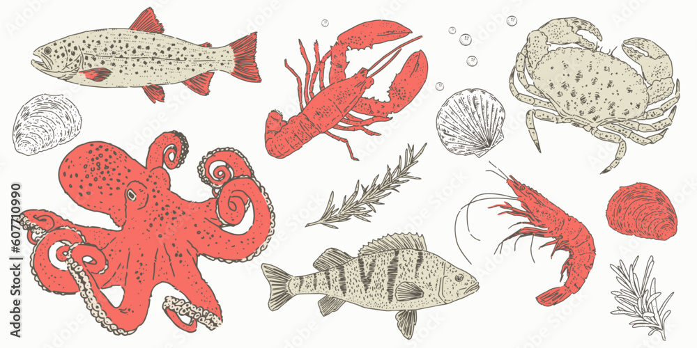 Set of hand drawn sea fauna elements isolated on background. Vector illustration of fish, octopus, seashell, lobster and seaweed