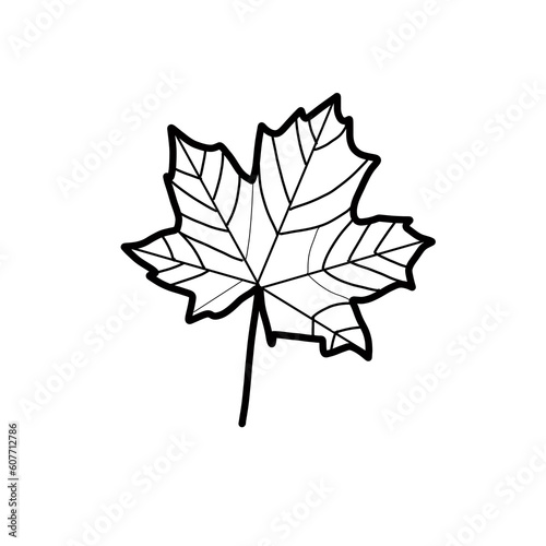 leaf natural hand drawn doodle