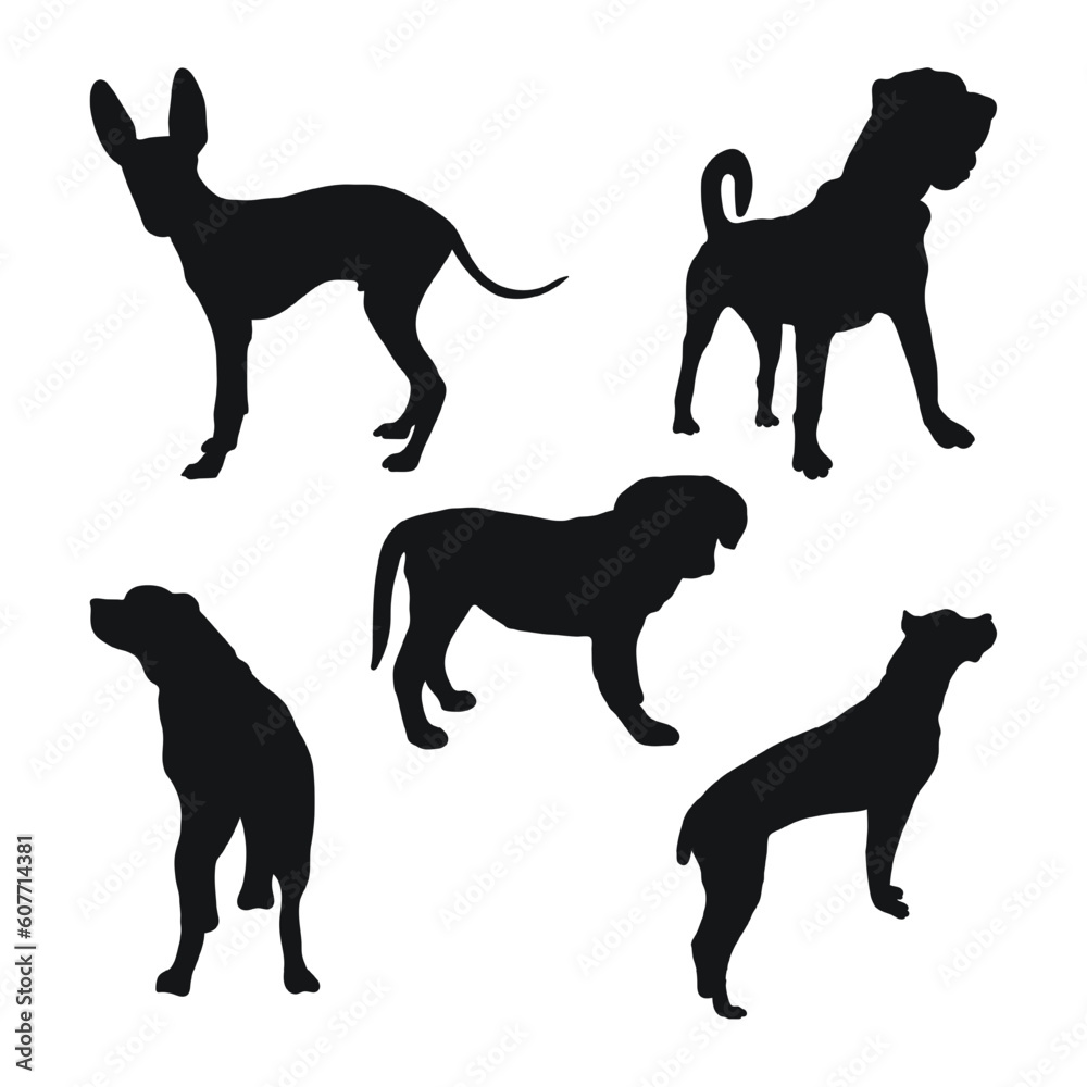 Sketch of black silhouettes of dogs in poses. Outline of pets go, standing, running, jumping, training, walking, guarding, posing, play, showing
