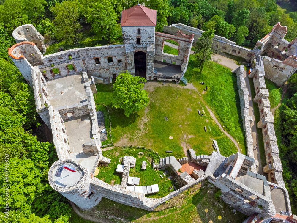 Aerial view landscape Poland Tenczyn castle in Rudno. Drone photo, park, ruins, forest, trees.