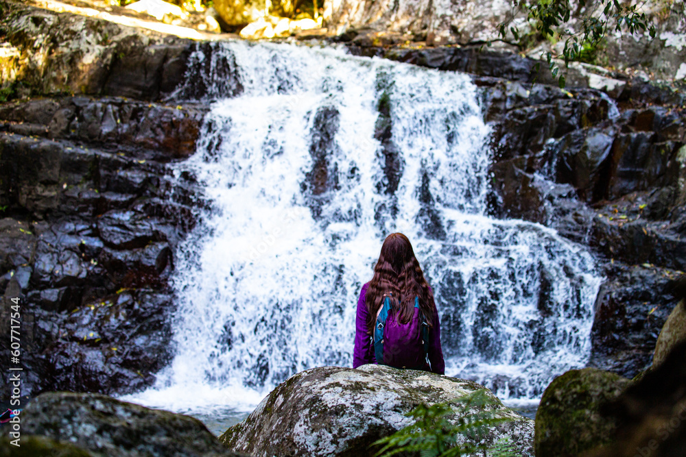 Naklejka premium A beautiful girl sits in front of a stunning, powerful waterfall; hike in Gondwana Rainforest on the Warrie Circuit trail in Springbrook National Park, Gold Coast, Queensland