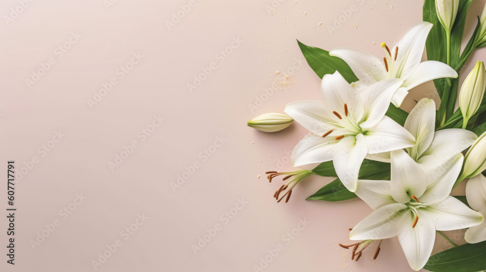 Fototapeta premium Beautiful white lily flowers on blank background. Colorful flowers for Mother's day, Women's Day, Birthday card, Easter. Generative Ai