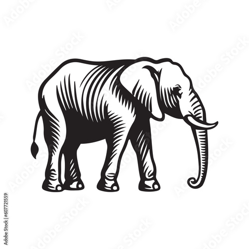 Elephant Vector illustration. Bear Vintage Logo