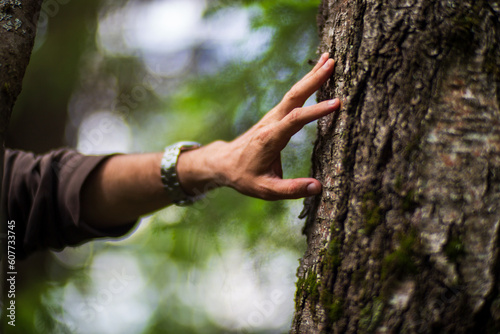 A man's hand touch the tree trunk close-up. Bark wood.Caring for the environment. The ecology concept of saving the world and love nature by human