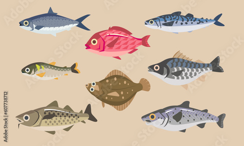 Fresh edible cute cartoon fish collection. Flat Illustration of flatfish, ayu fish, Gadus morhua, salmon, mackerel, seabass, milkfish, and snapper.