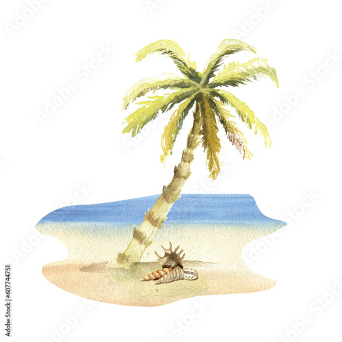 Composition of the sea beach, palm tree on the seashore, on a white background. Watercolor