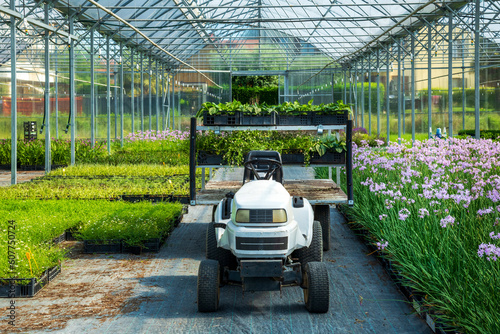 Buggy car parked in hothouse amidst lush fresh plants