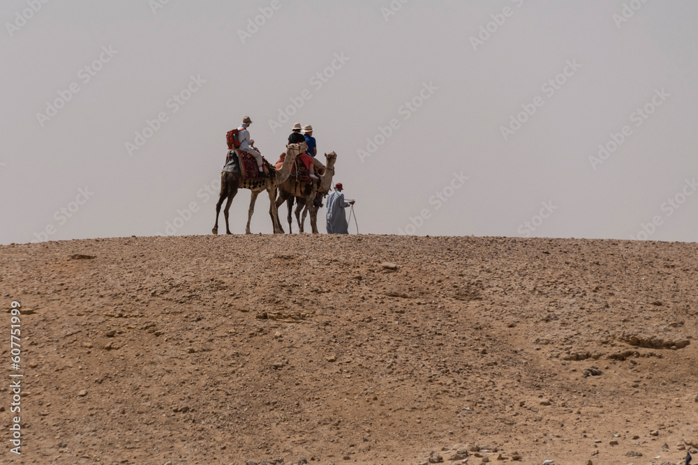 Paisaje con dunas de arena y con caravanas de camellos y beduinos. Egipto 