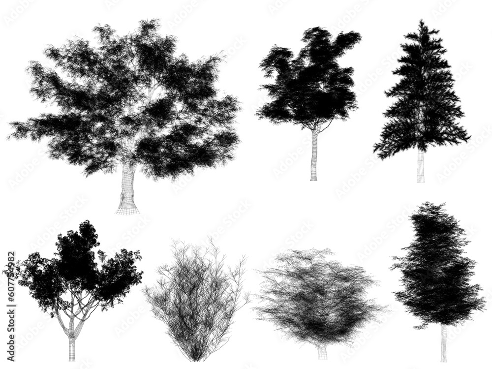 set of trees png on white background. 3d rendering wire frame set of trees png on white background. 3d rendering wire frame