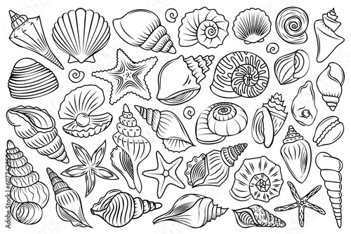 Underwater creatures line art set. Different linear mollusk, starfish, shell, seashell vector illustrations.