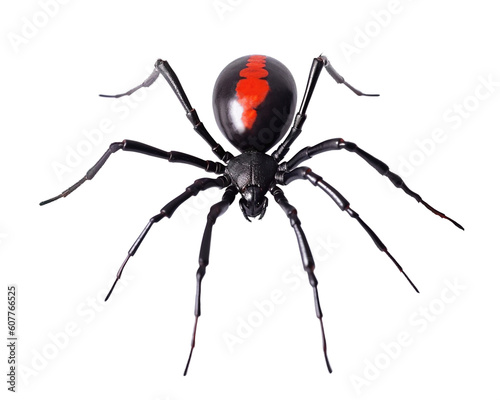 Black widow spider, png, redback, isolated, transparent background, generative ai