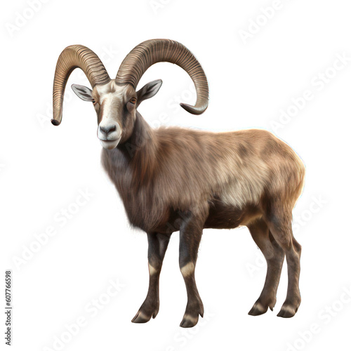 Alpine ibex isolated on white created with Generative AI