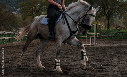 young european girl training horse, riding canter wearing back protection, gray gelding workout in manej © Ela