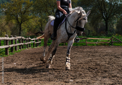  young european girl training horse, riding canter wearing back protection, gray gelding workout in manej