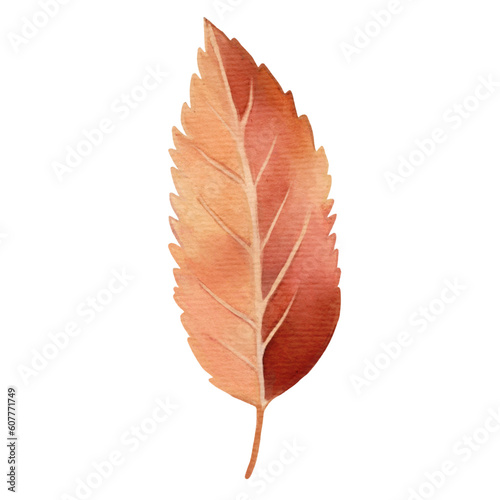 autumn leave isolated on white background © Bulder Creative