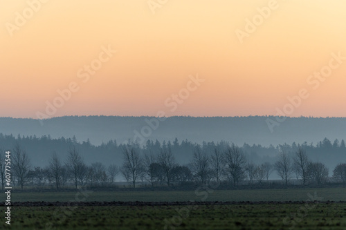 Autumn trees on a field in the fog and sunrise in the Czech Republic