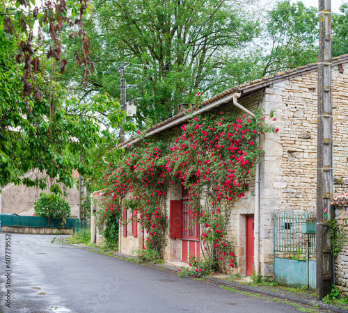 French cottage surrounded by roses © Ian