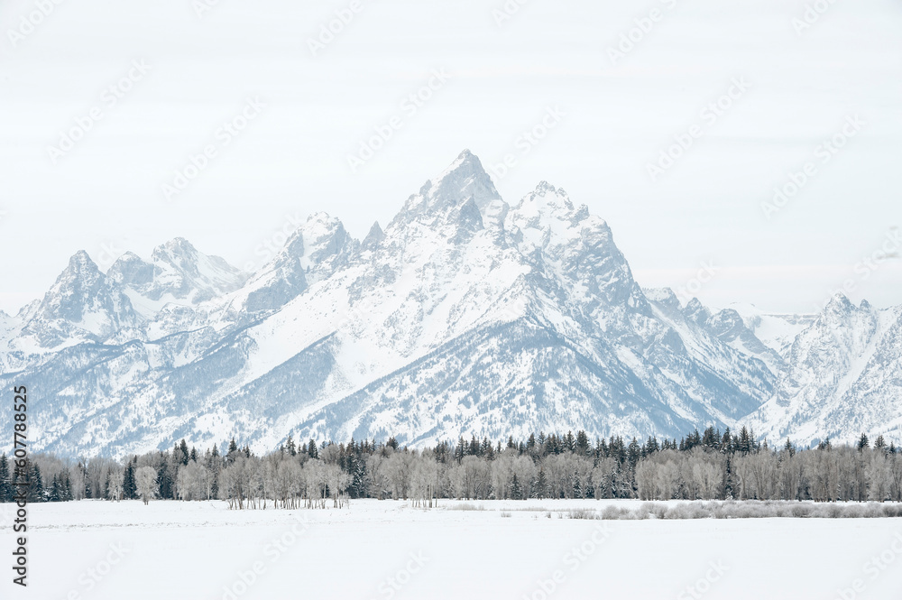 Naklejka premium Grand Teton mountains in winter