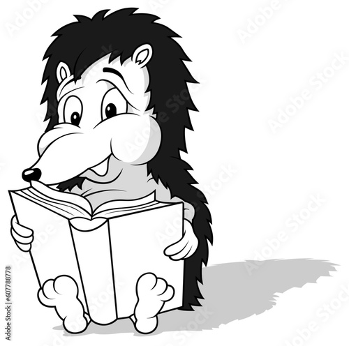 Drawing of a Hedgehog Readi...