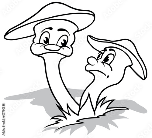 Drawing of a Funny Pair of ...