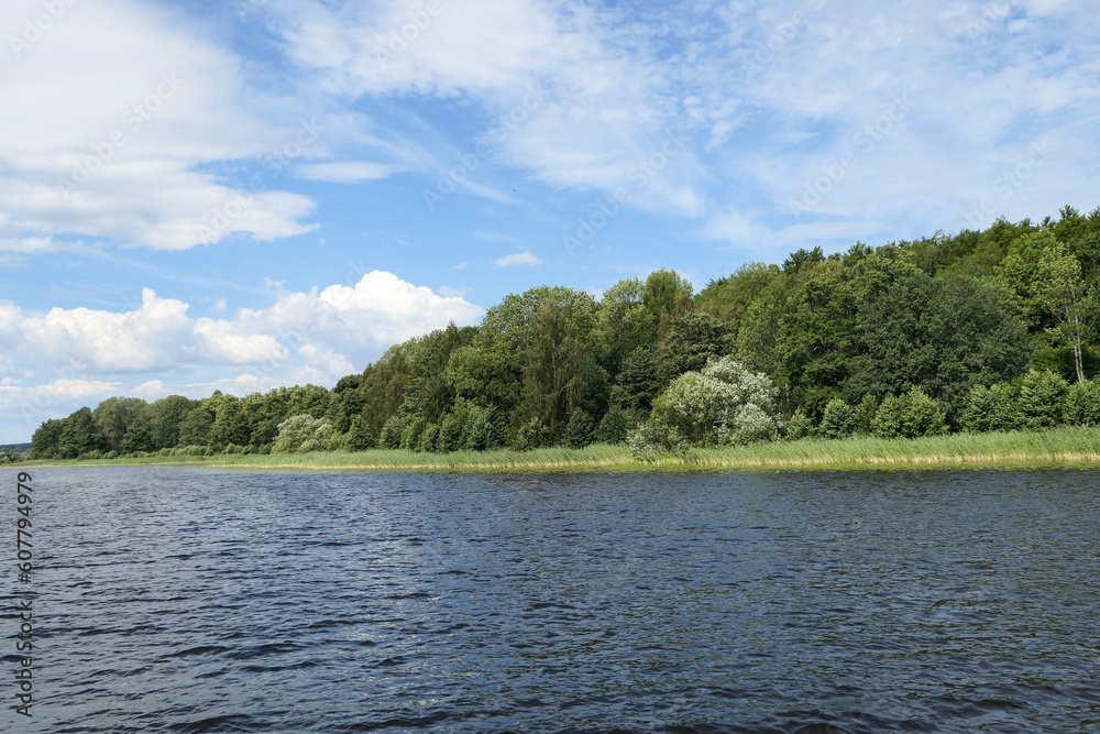 lake in the forest