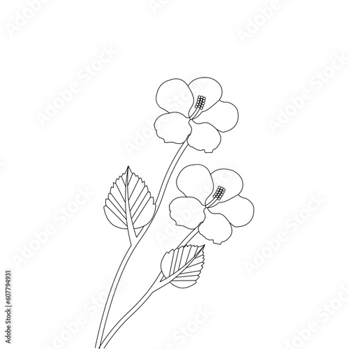 illustration of a flower Coloring page Hand Drawn Vector Sketch Line Art  © Graphic_Creations