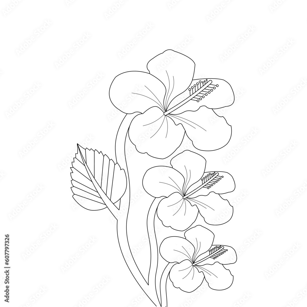Obraz premium Flower Line Art Drawing Black Stroke Illustration Vector Flower
