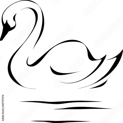 Swan. Black and white line art illustration of a swan isolated on a white background. Vector illustration