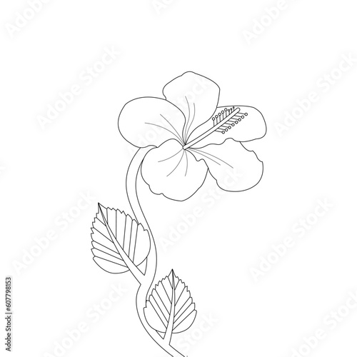 Hibiscus Flower Drawing Coloring Page With Doodle Art Line Art Vector