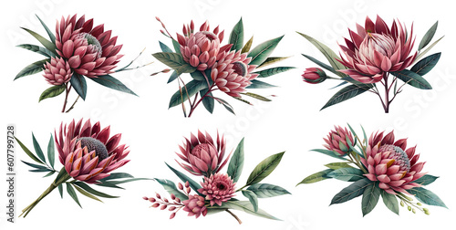 Watercolor protea flowers with leaves. Generative Ai 