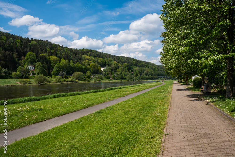 Bike path along the Elbe near Bad Schandau on a sunny day