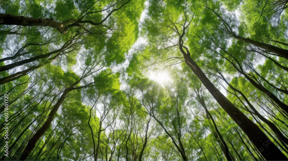 Obraz premium Upward Shot of Green Tree Canopies in a Forest, Generative AI