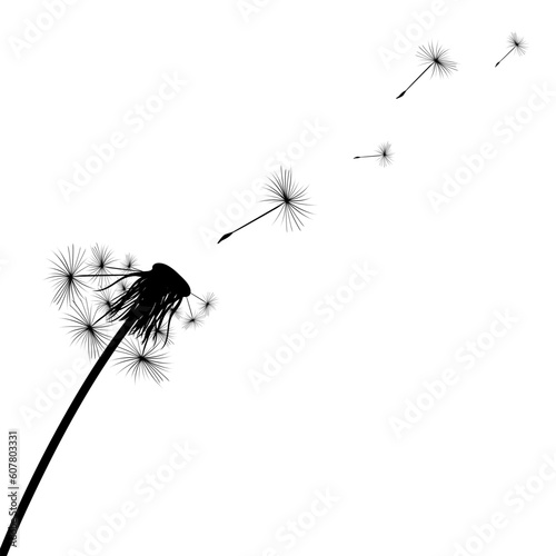 Fototapeta Naklejka Na Ścianę i Meble -  Silhouette of a simple single dandelion