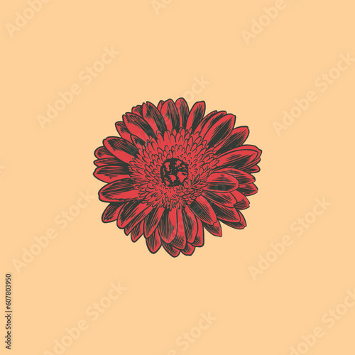 Hand drawn flower botanical...