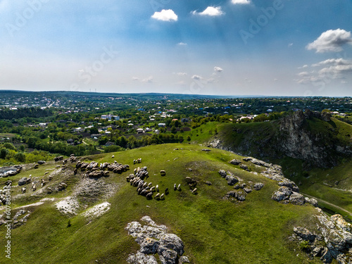 aerial view of Scene of a Shepherd with Sheep and Dog on top of rocky hill in corjeuti  moldova