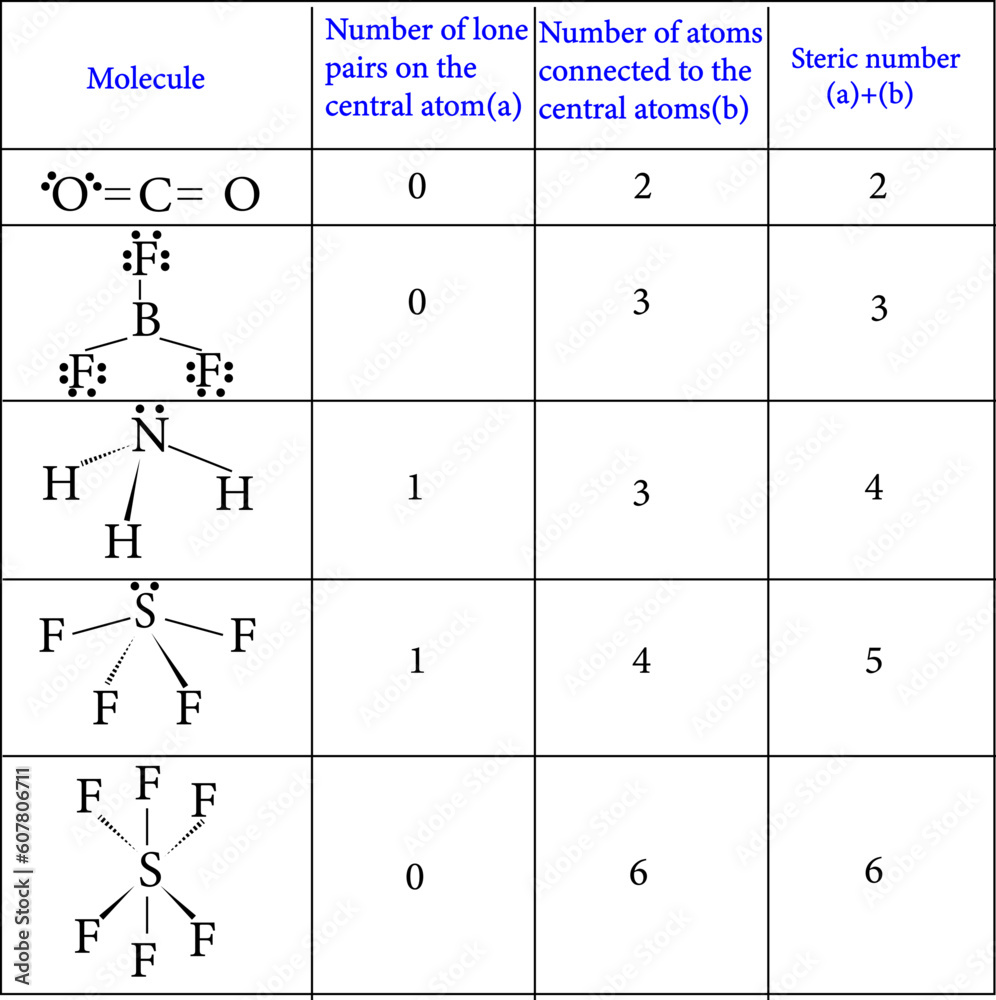 vector illustration of Steric Number chart vector illustration of Steric Number chart