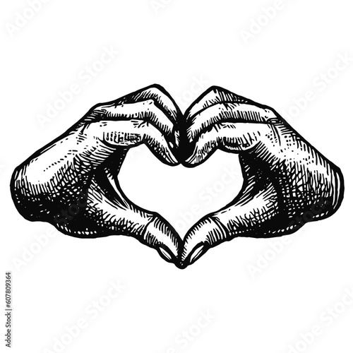 hands in a heart shape vintage vector sketch
