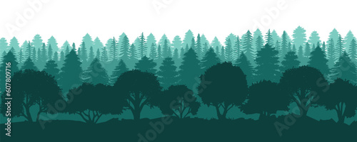 Forest silhouette background. View to realistic coniferous trees