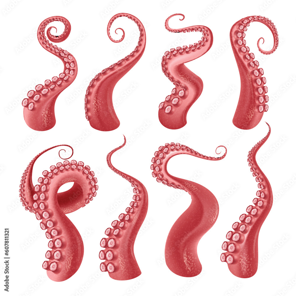 Octopus Tentacles Realistic Set Octopus Tentacles Realistic Set