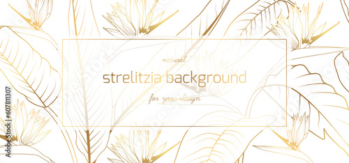 Strelitzia Reginea or bird of paradise flowers. Floral border frame card template. Golden gradient on white background. Vector design illustration. for bunner, wedding invitation card.
