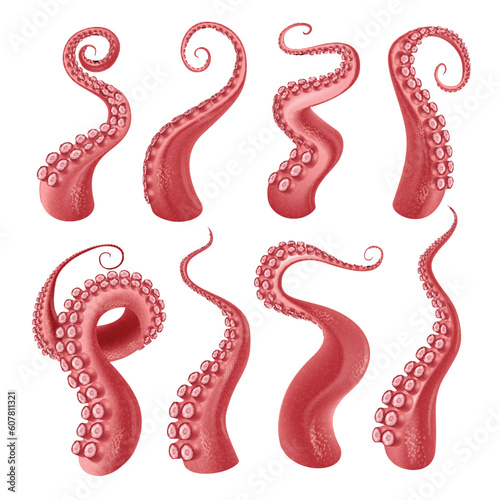 Octopus Tentacles Realistic Set