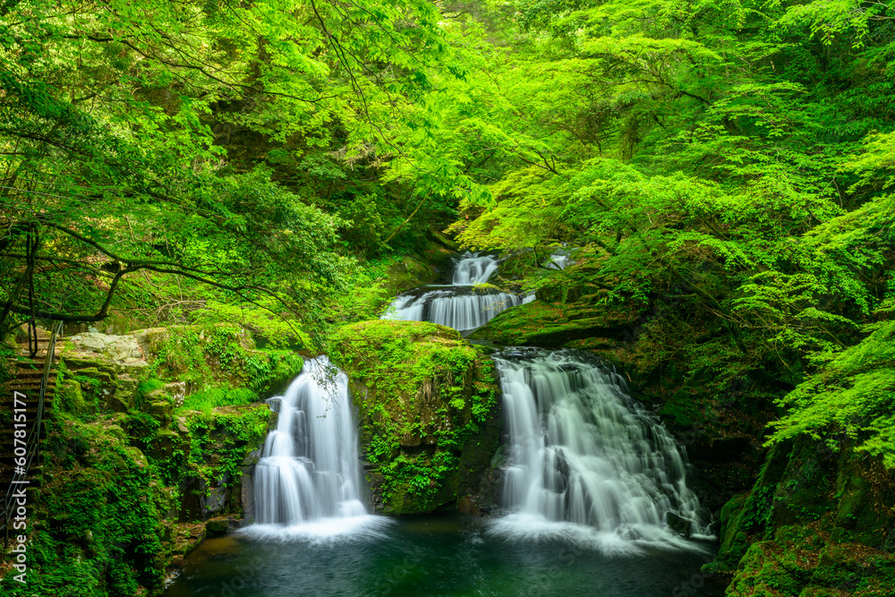 Fototapeta premium 赤目四十八滝 荷担滝