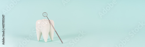 Dental clinic special offer banner. Healthy white tooth model and dentist mirror on blue background. Copy space. Teeth care and whitening web line, dental treatment, tooth extraction, implant concept. © Dina Photo Stories