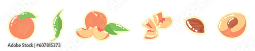 Set of sweet ripe peaches on white background